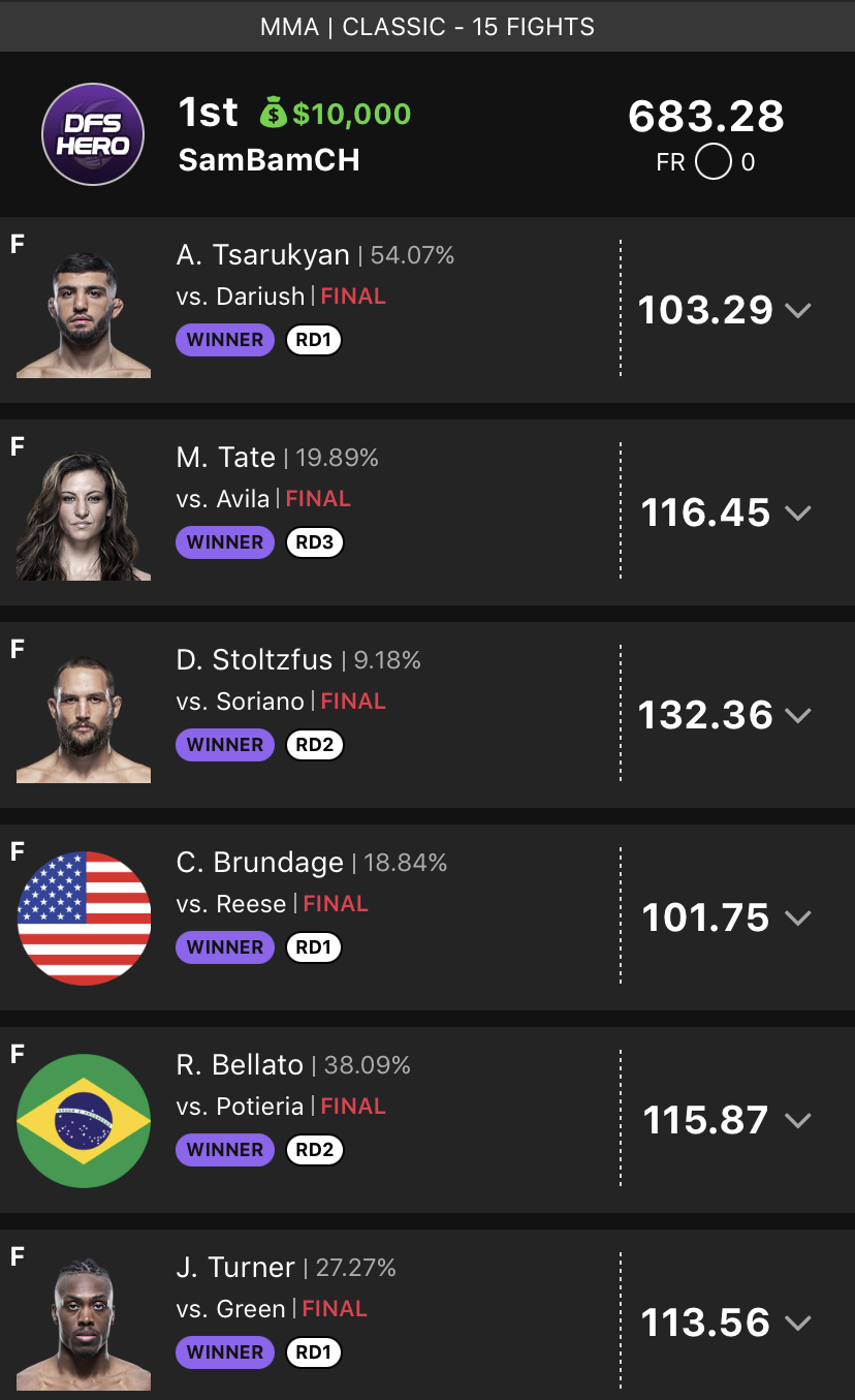 DFS Hero Victory #11